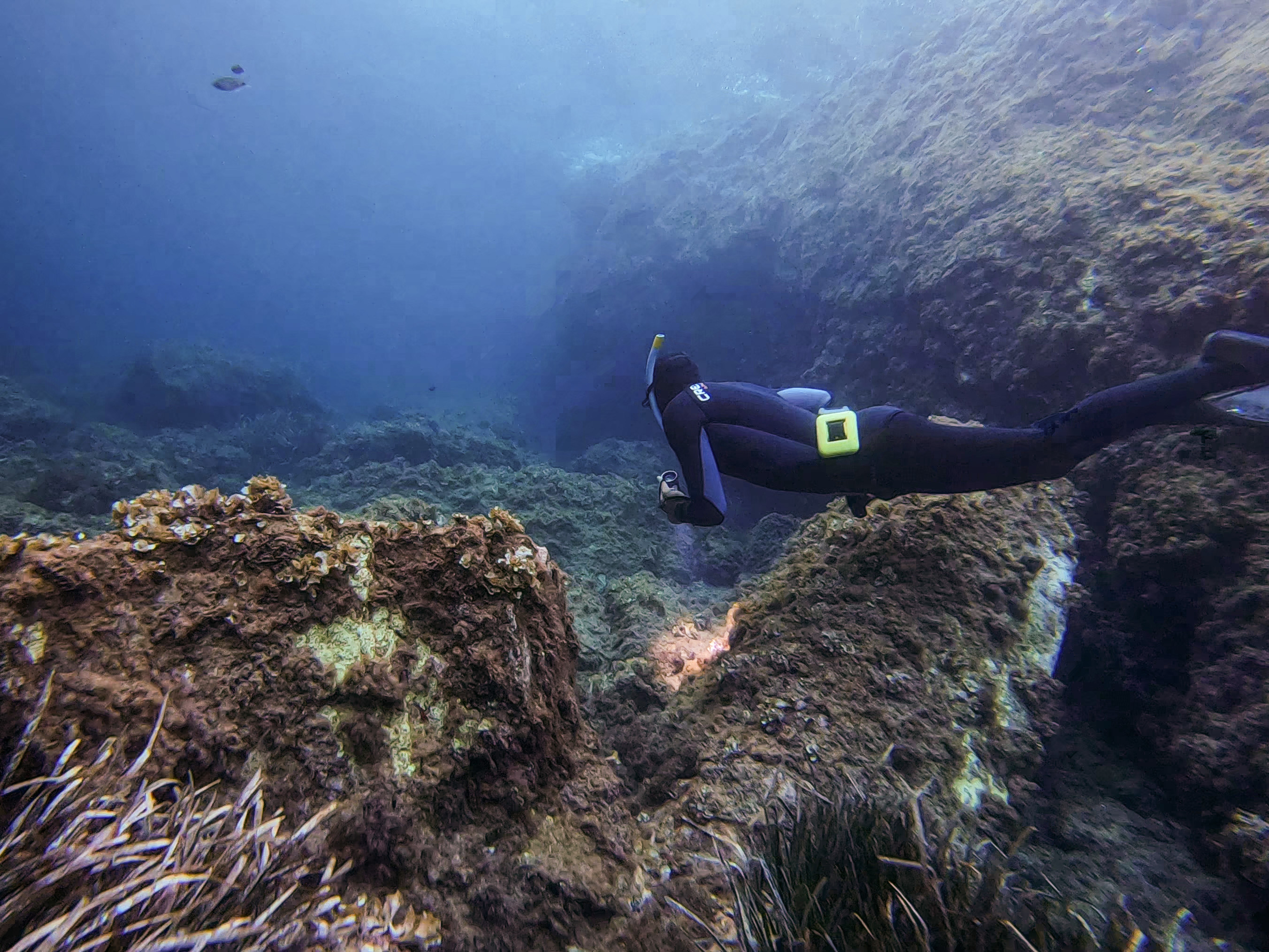 Apnea & snorkeling - Expérience Côte d'Azur