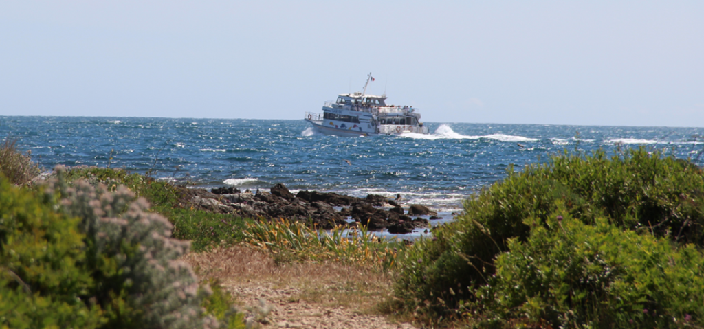 Sea crossing - Expérience Côte d'Azur