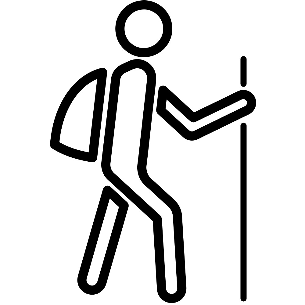 logo Nordic walking