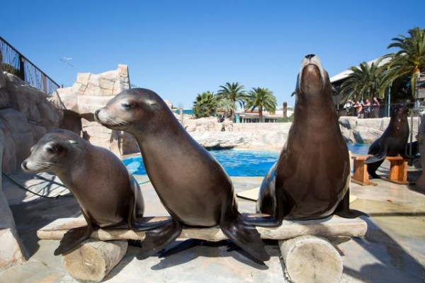 Parks and animals - Expérience Côte d'Azur