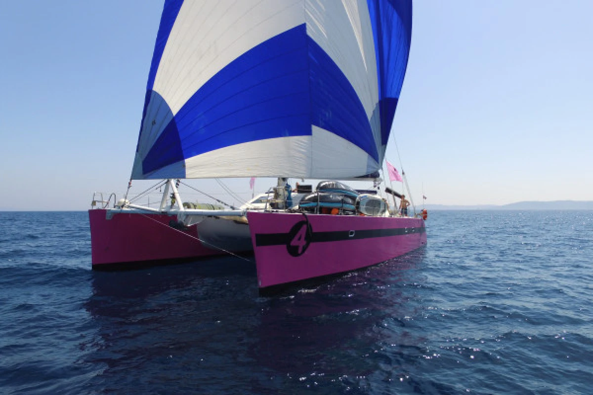 1/2 journey in Catamaran from Lavandou - Expérience Côte d'Azur