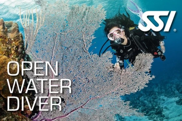 Beginner Dive Certification First Level (SSI) OPEN WATER - Expérience Côte d'Azur