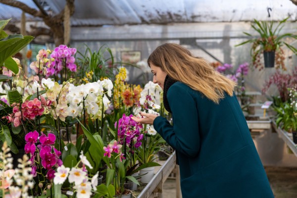 Discover the magical world of orchids - Expérience Côte d'Azur