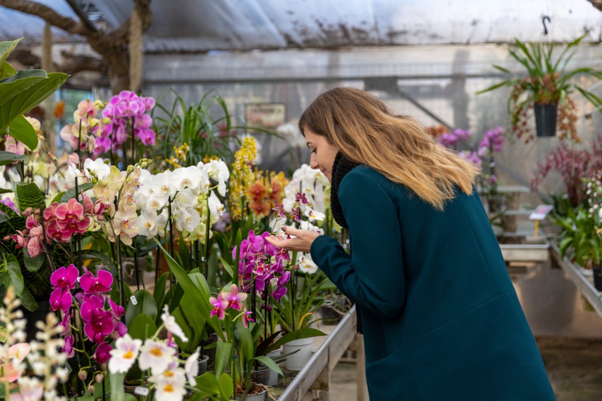 Discover the Magical World of Orchids - Expérience Côte d'Azur