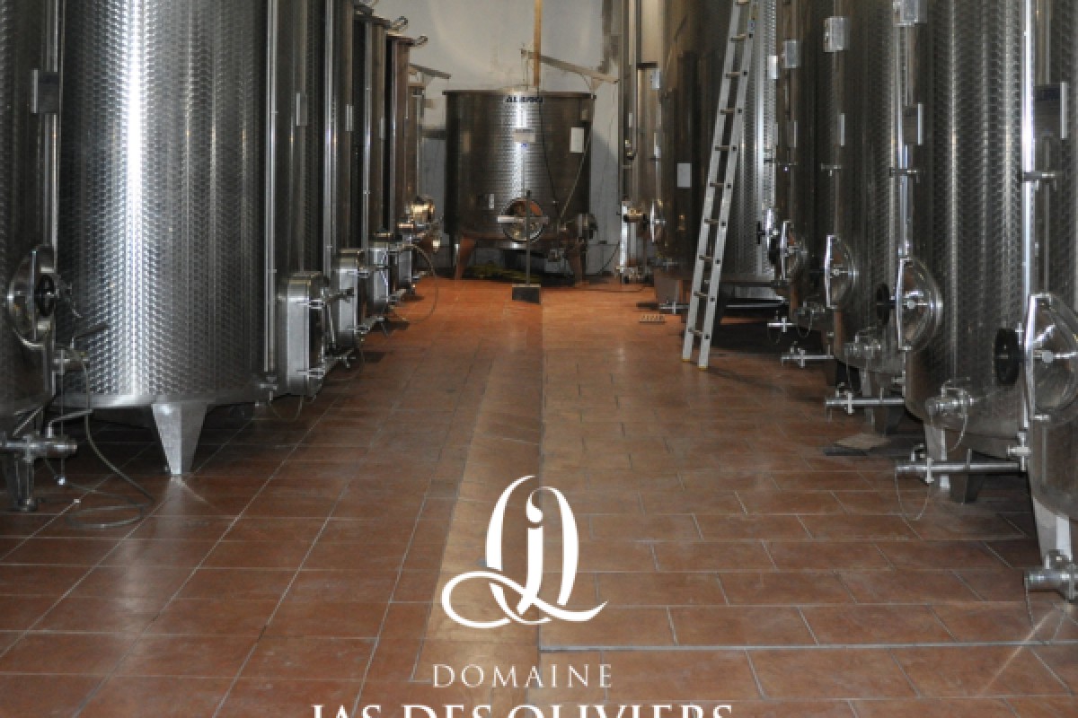 Aperitif tasting: sunset with a view of the vineyards - Expérience Côte d'Azur