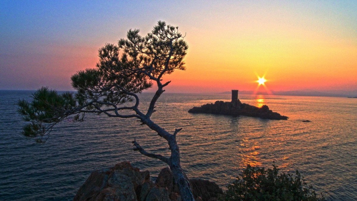 Private sunset cruise with aperitif - Île d'Or & Lion de Mer - Expérience Côte d'Azur