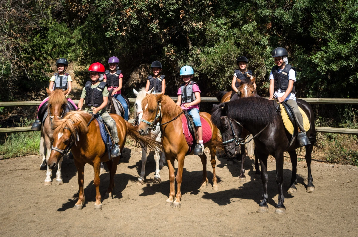 Riding lessons: Pegasus from age 8 - Expérience Côte d'Azur