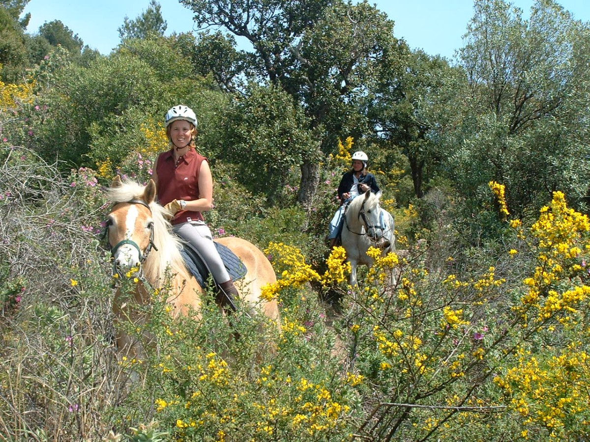 Horseback ride for intermediate riders in the Estérel – Sea view in Saint-Raphaël - Expérience Côte d'Azur