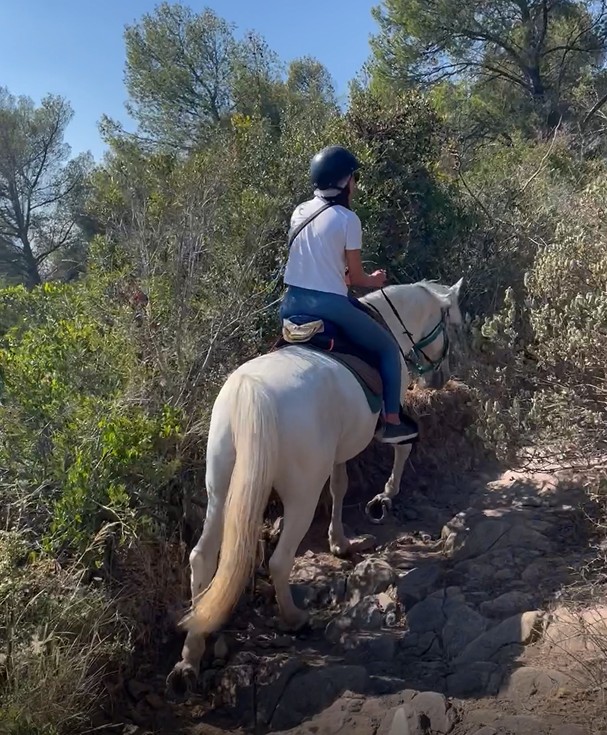 Riding for beginners - Panoramer Saint Raphaël - Expérience Côte d'Azur