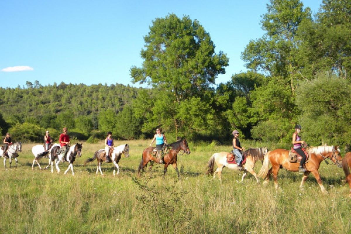 Horse riding - Discovery of the Lake of Saint Cassien 2h - Expérience Côte d'Azur