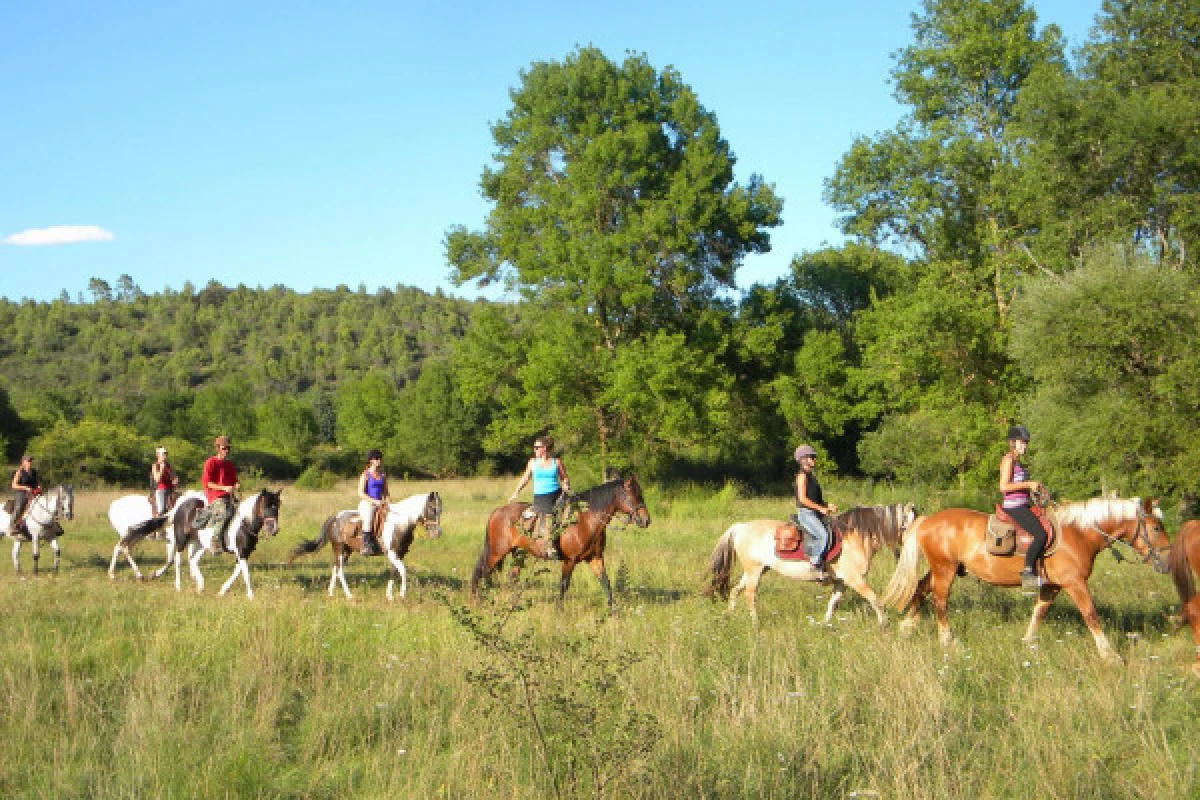 Horse riding - Discovery of the Lake of Saint Cassien 2h - Expérience Côte d'Azur