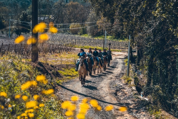 Horseback riding and wine tasting in Grimaud - Expérience Côte d'Azur
