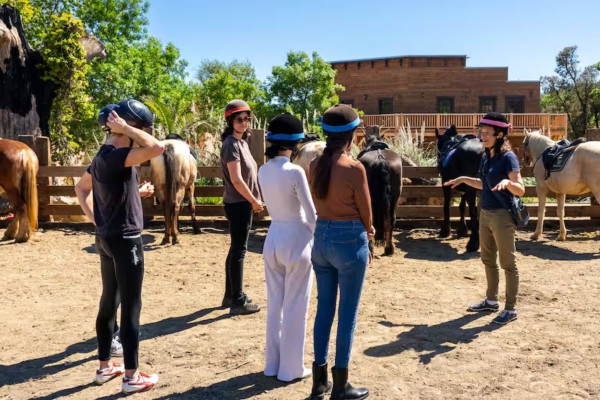 Horseback riding and wine tasting in Grimaud - Expérience Côte d'Azur