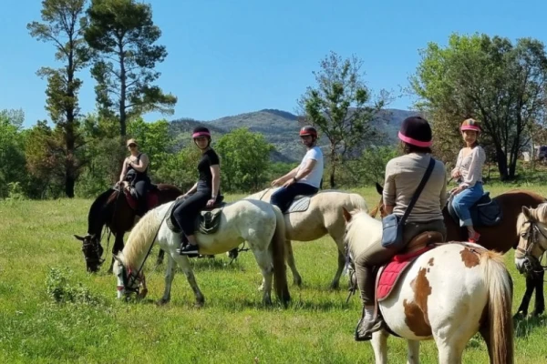 Horse riding in the vineyards + tasting in Grimaud - Expérience Côte d'Azur