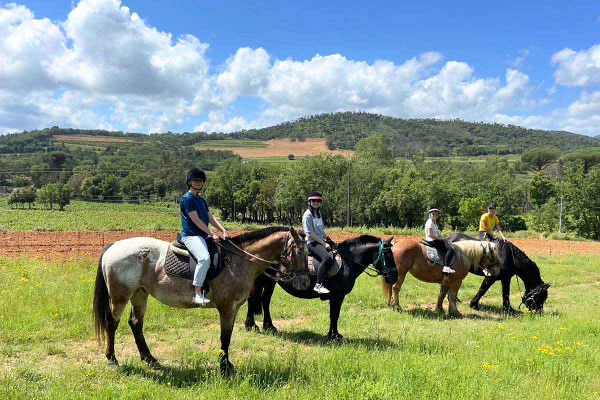 Horse riding in the vineyards + tasting in Grimaud - Expérience Côte d'Azur