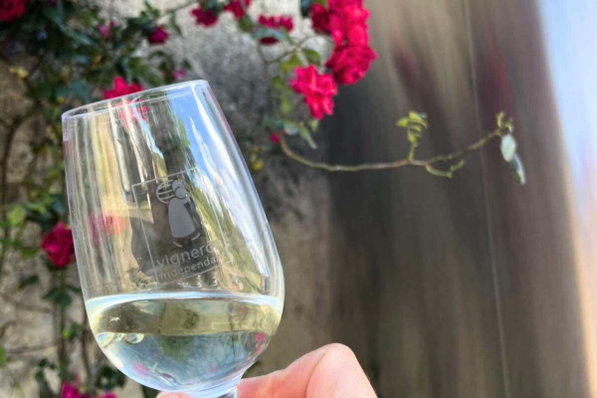 Wine Glass White Horse Winery Nj White Horse Winery Hammonton Nj