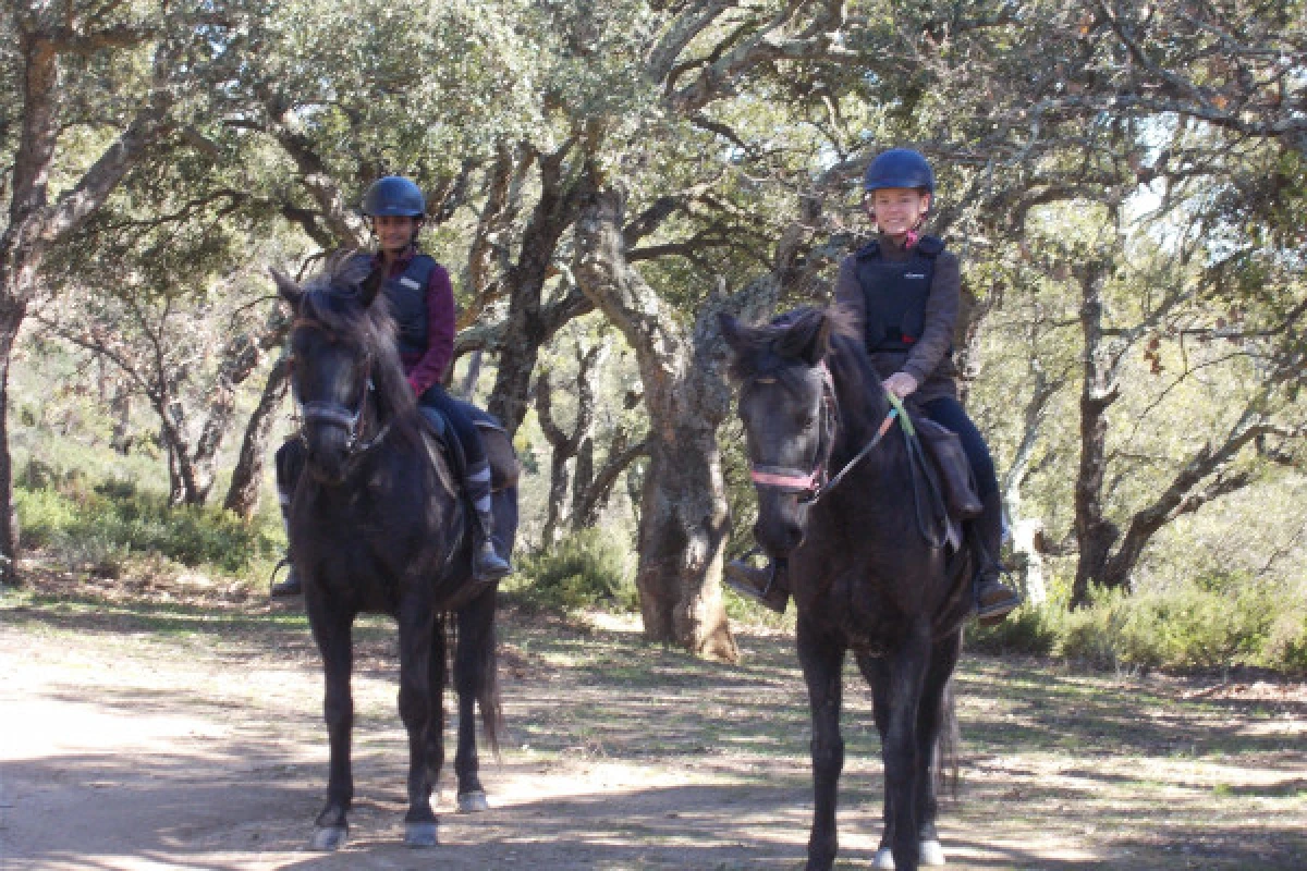 Half day horse riding "Sea and mountain view" - Expérience Côte d'Azur