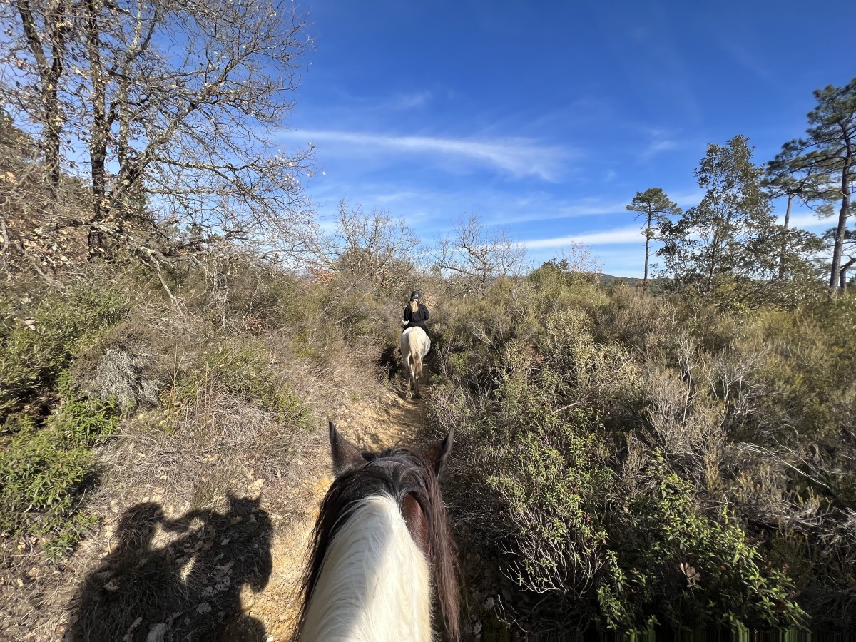 Half-day horseback ride at Lake St Cassien - Expérience Côte d'Azur