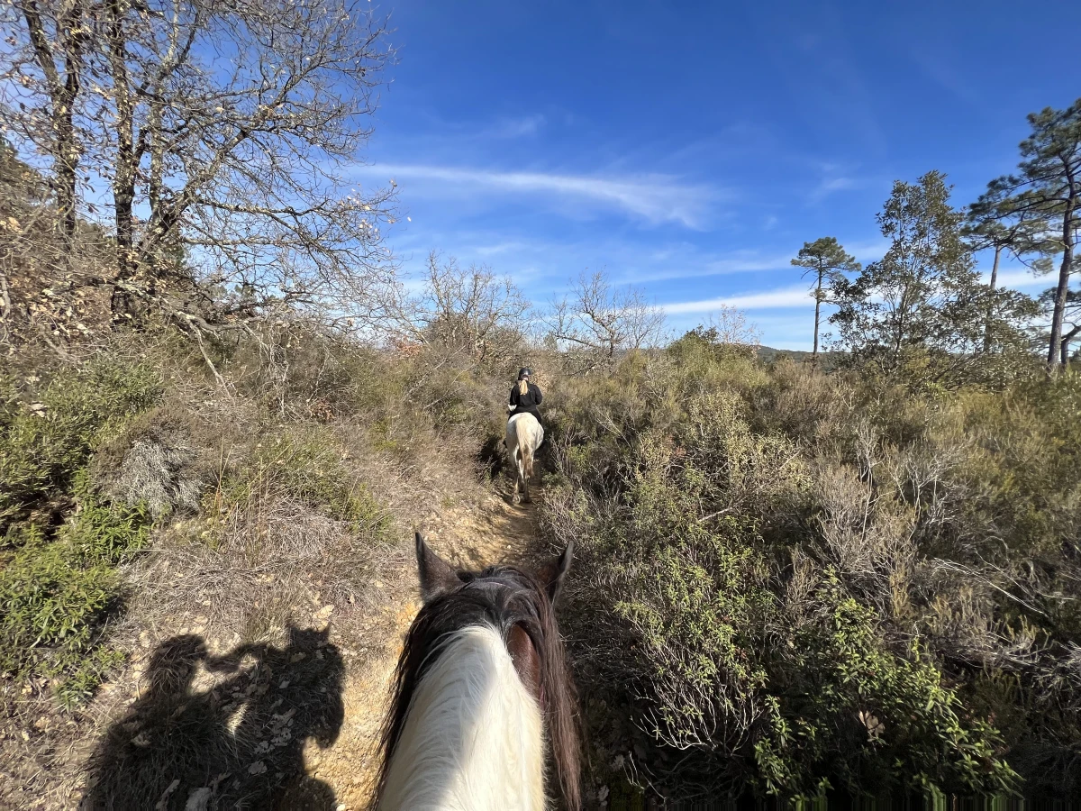 Half-day horseback ride at Lake St Cassien - Expérience Côte d'Azur