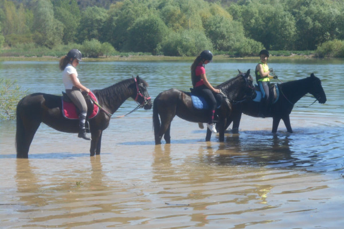 Half day horse riding "Sea and mountain view" - Expérience Côte d'Azur