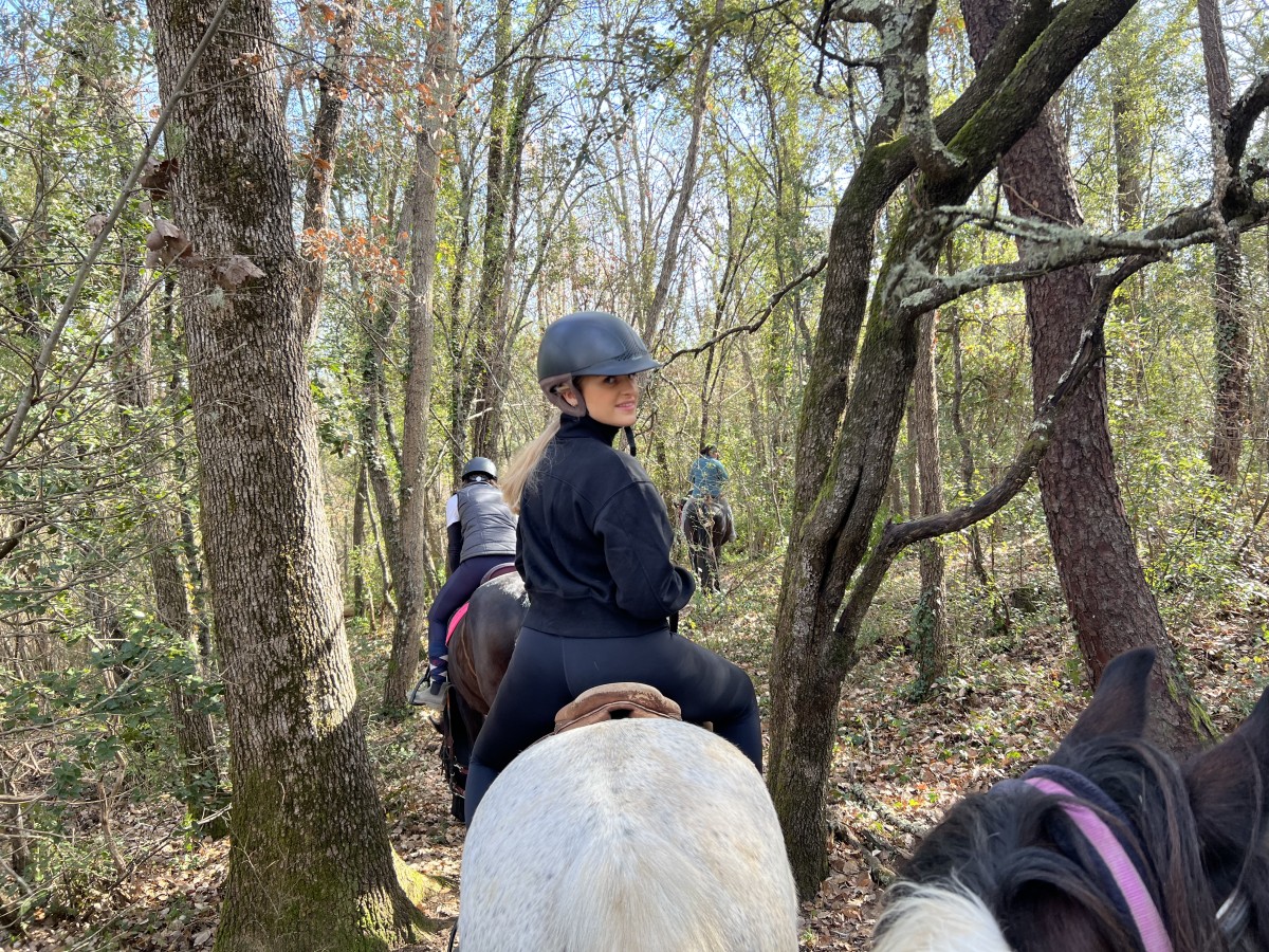 Half-day horseback ride at Lake St Cassien - Expérience Côte d'Azur