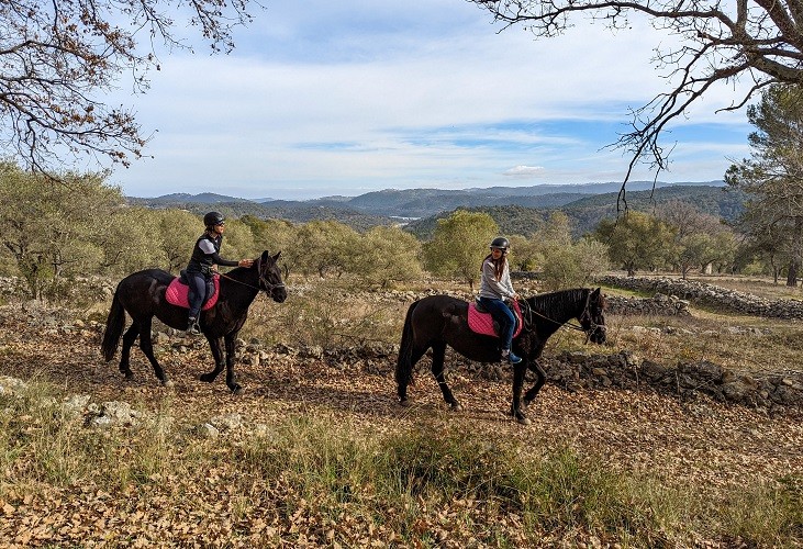 Relaxing horseback ride - Lake Saint-Cassien - Expérience Côte d'Azur
