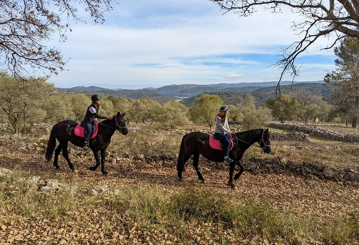 Relaxing horseback ride - Lake Saint-Cassien - Expérience Côte d'Azur