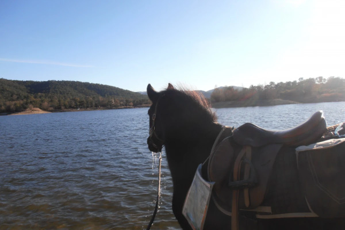 Hike Saint-Cassien Lake - Expérience Côte d'Azur