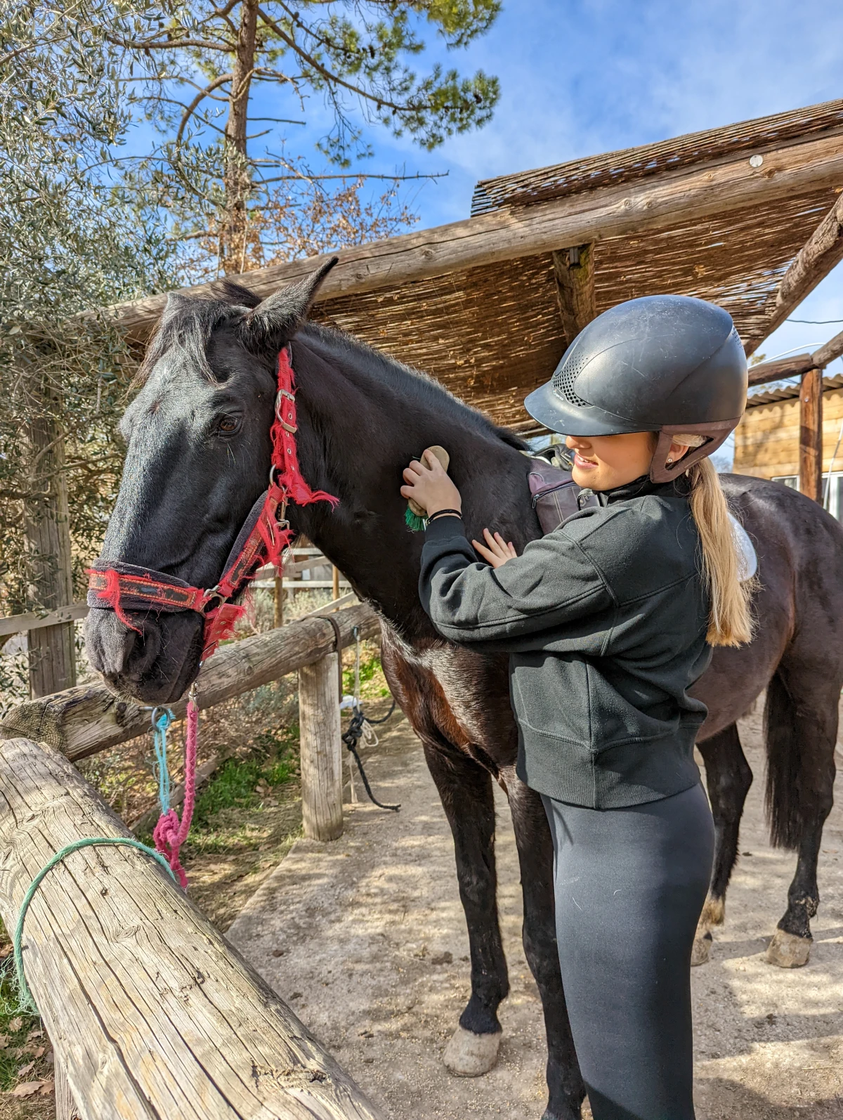 Relaxing horseback ride - Lake Saint-Cassien - Expérience Côte d'Azur