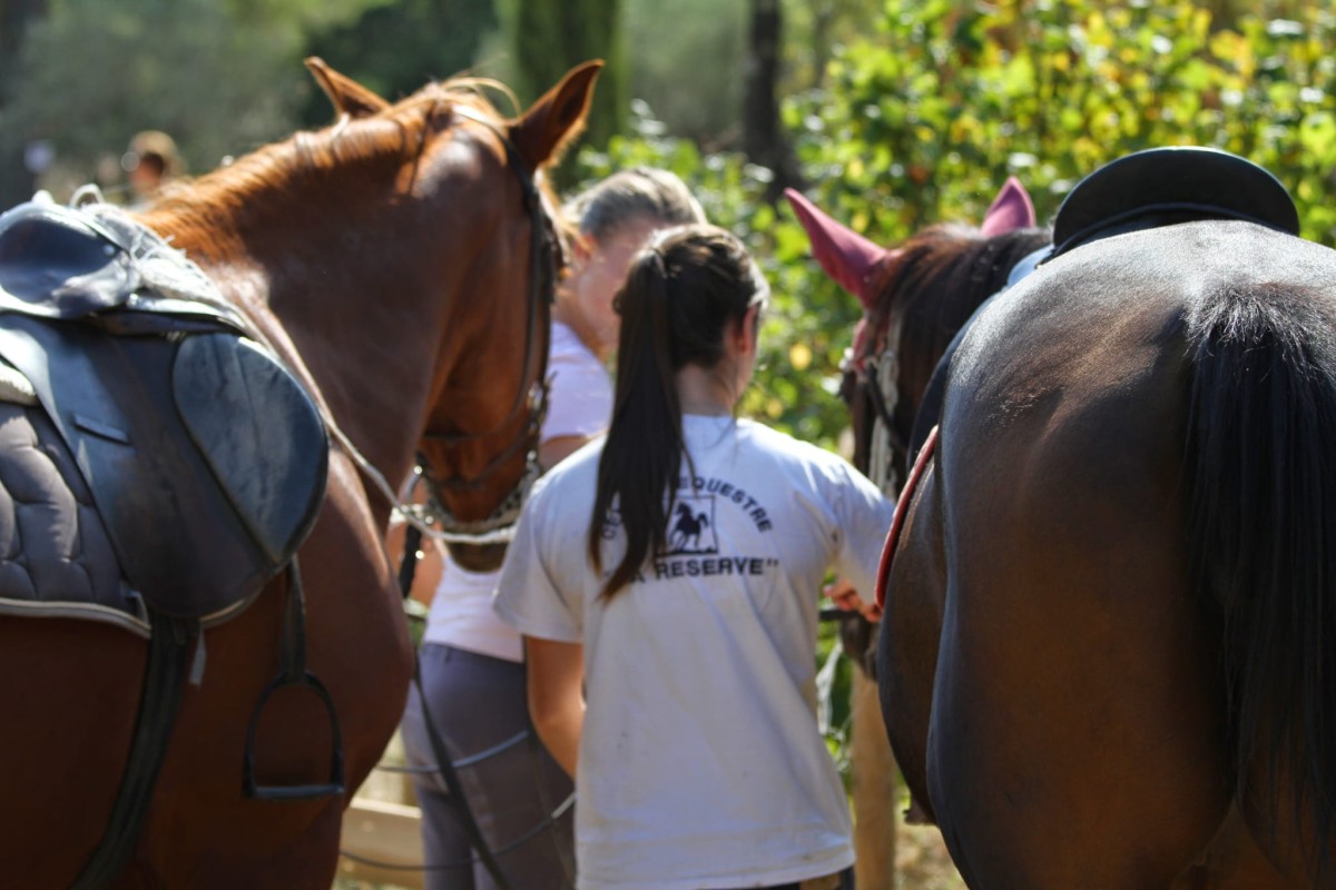  - Expérience Côte d'Azur