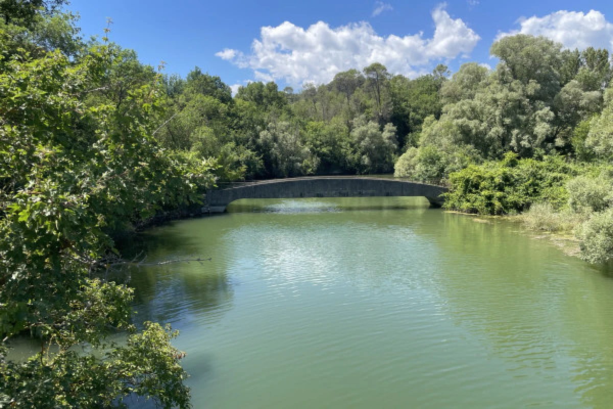 Electric mountain bike ride around the Saint Cassien lake - Expérience Côte d'Azur