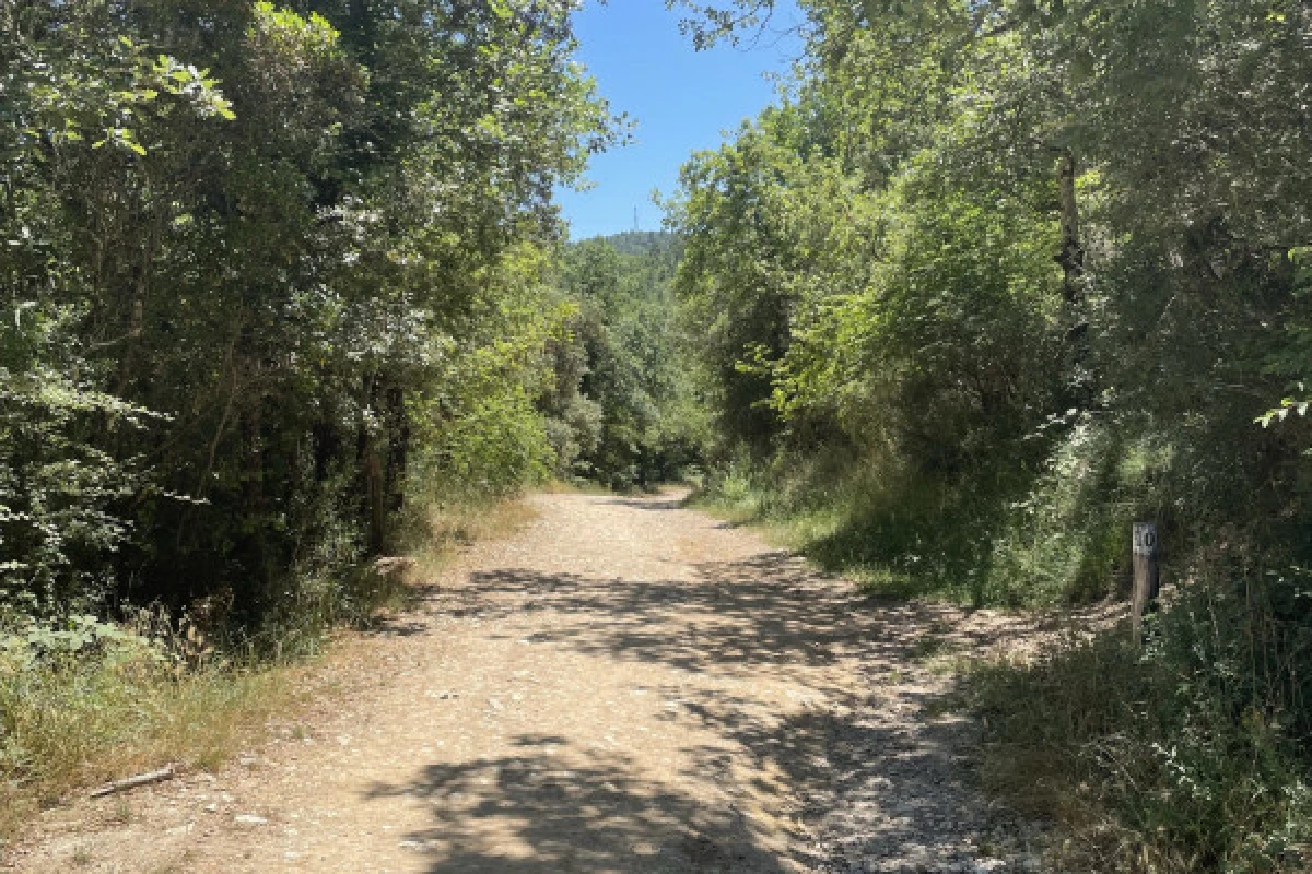 Electric mountain bike ride around the Saint Cassien lake - Expérience Côte d'Azur