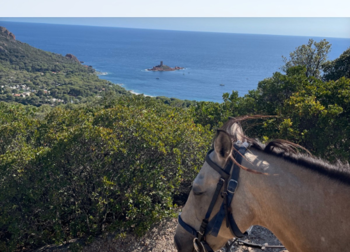Riding for beginners - Panoramer Saint Raphaël - Expérience Côte d'Azur