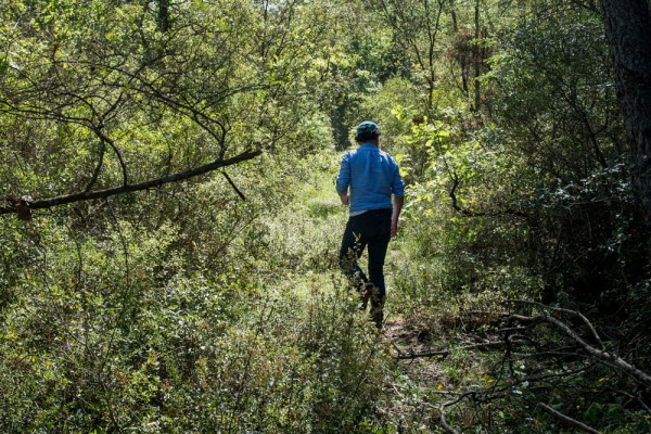The biodiversity walk between vine and forest - Expérience Côte d'Azur