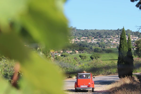 Vintage Wine Tour around St Tropez, 1/2 day - Expérience Côte d'Azur