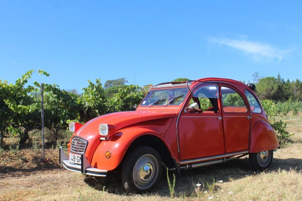 Vintage Wine Tour around St Tropez, 1/2 day - Expérience Côte d'Azur