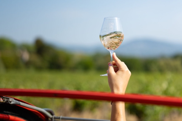 Vintage Wine Tour around Saint Tropez - Expérience Côte d'Azur