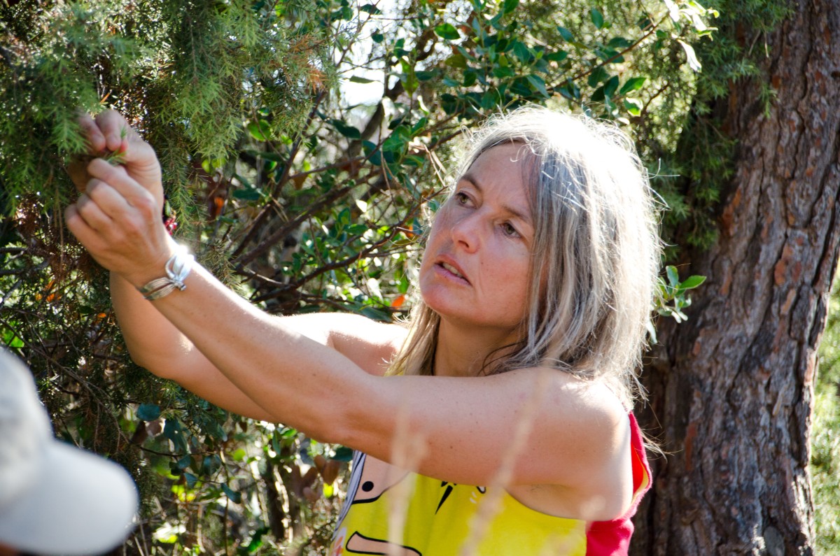  - Expérience Côte d'Azur