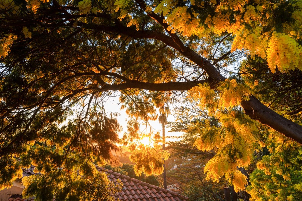  - Expérience Côte d'Azur