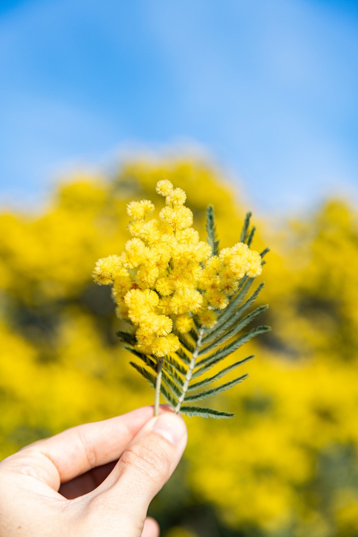 - Expérience Côte d'Azur