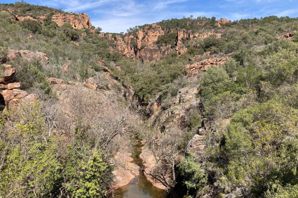 Homo Bouvérien nature walk - Expérience Côte d'Azur