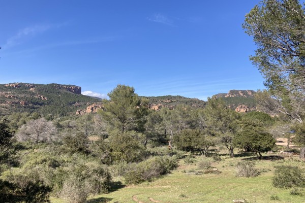 Homo Bouvérien nature walk - Expérience Côte d'Azur