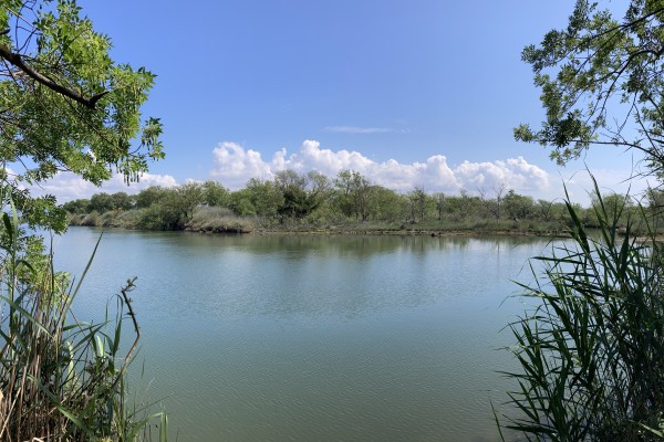 Nature walk in the Villepey ponds - Expérience Côte d'Azur
