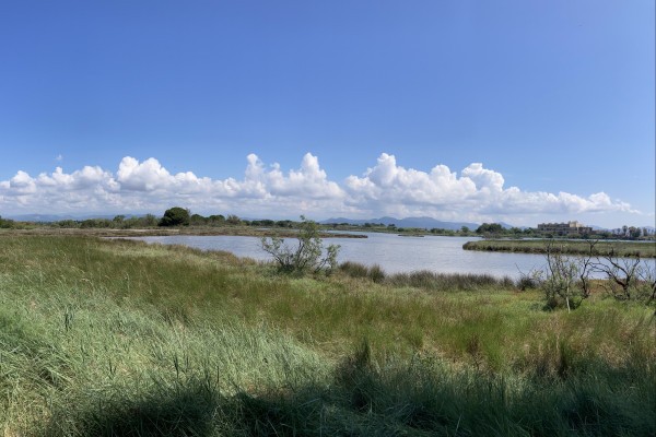 Nature walk in Fréjus - The Villepey ponds - Expérience Côte d'Azur