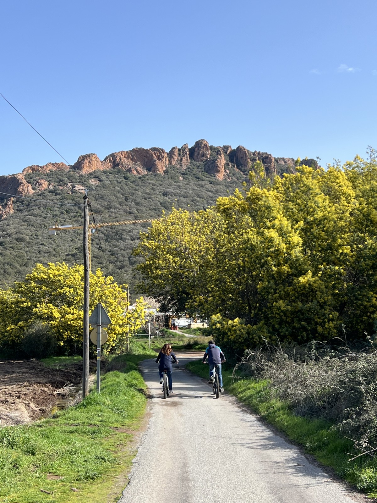 Electric mountain bike wine tour - in the heart of the Esterel region - Expérience Côte d'Azur