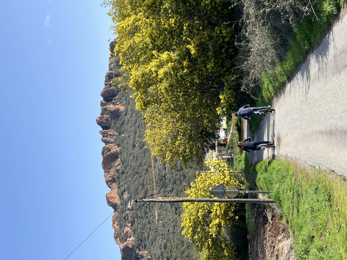 Electric mountain bike wine tour - in the heart of the Esterel region - Expérience Côte d'Azur