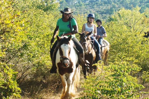 Horseback riding "relaxed 1/2 day" - Expérience Côte d'Azur