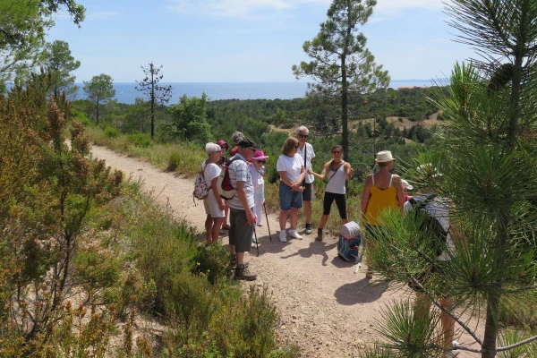 Guided walk - Taste the wild flavors of the Maquis - Expérience Côte d'Azur