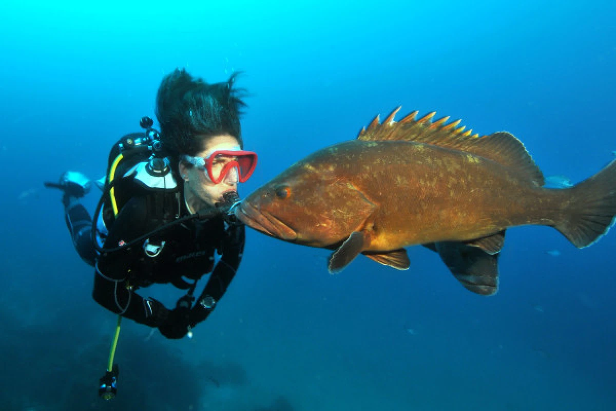 Discover Scuba Diving Boat Hyères (Regiondo) - Expérience Côte d'Azur