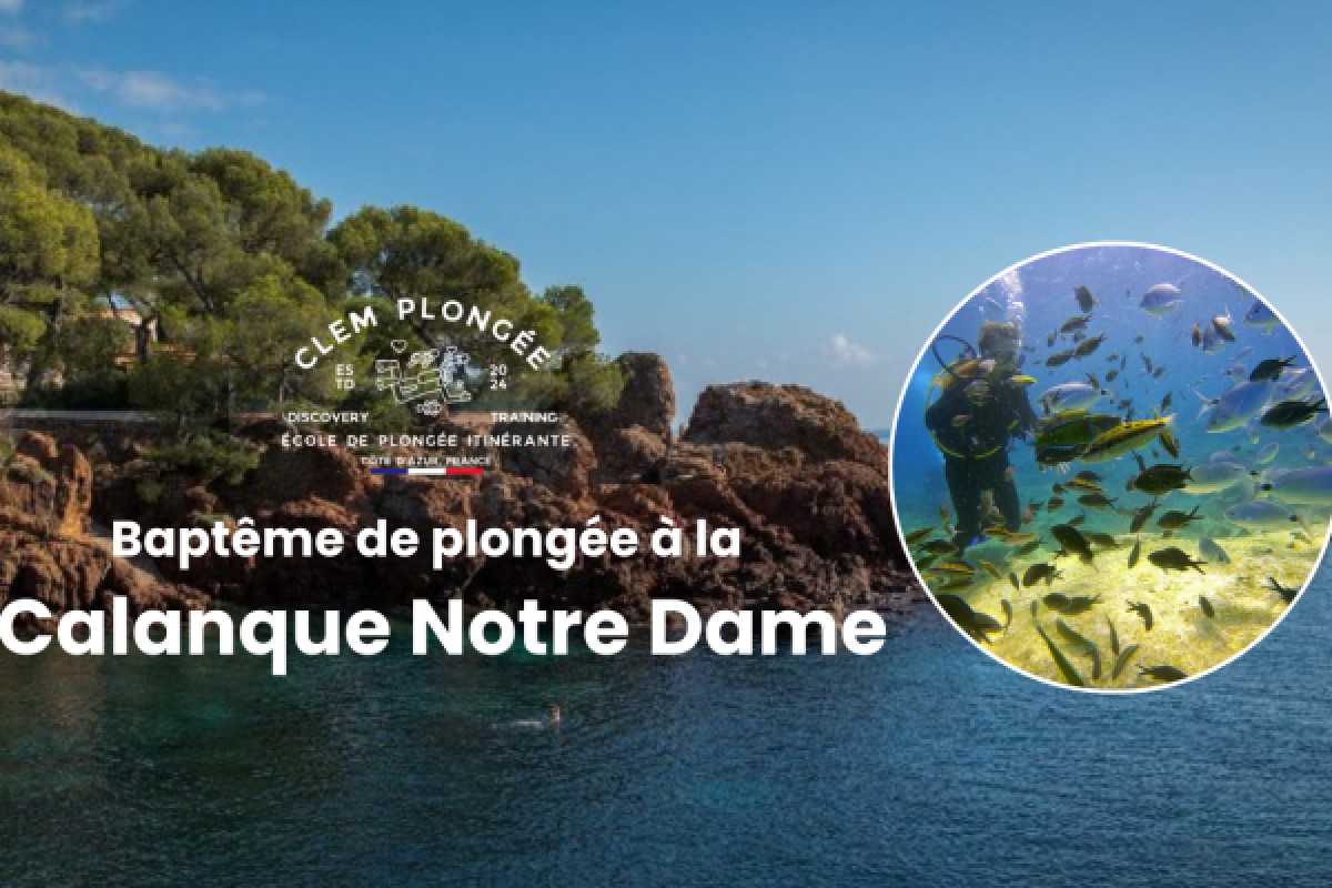 Scuba diving Calanque Notre Dame - Expérience Côte d'Azur